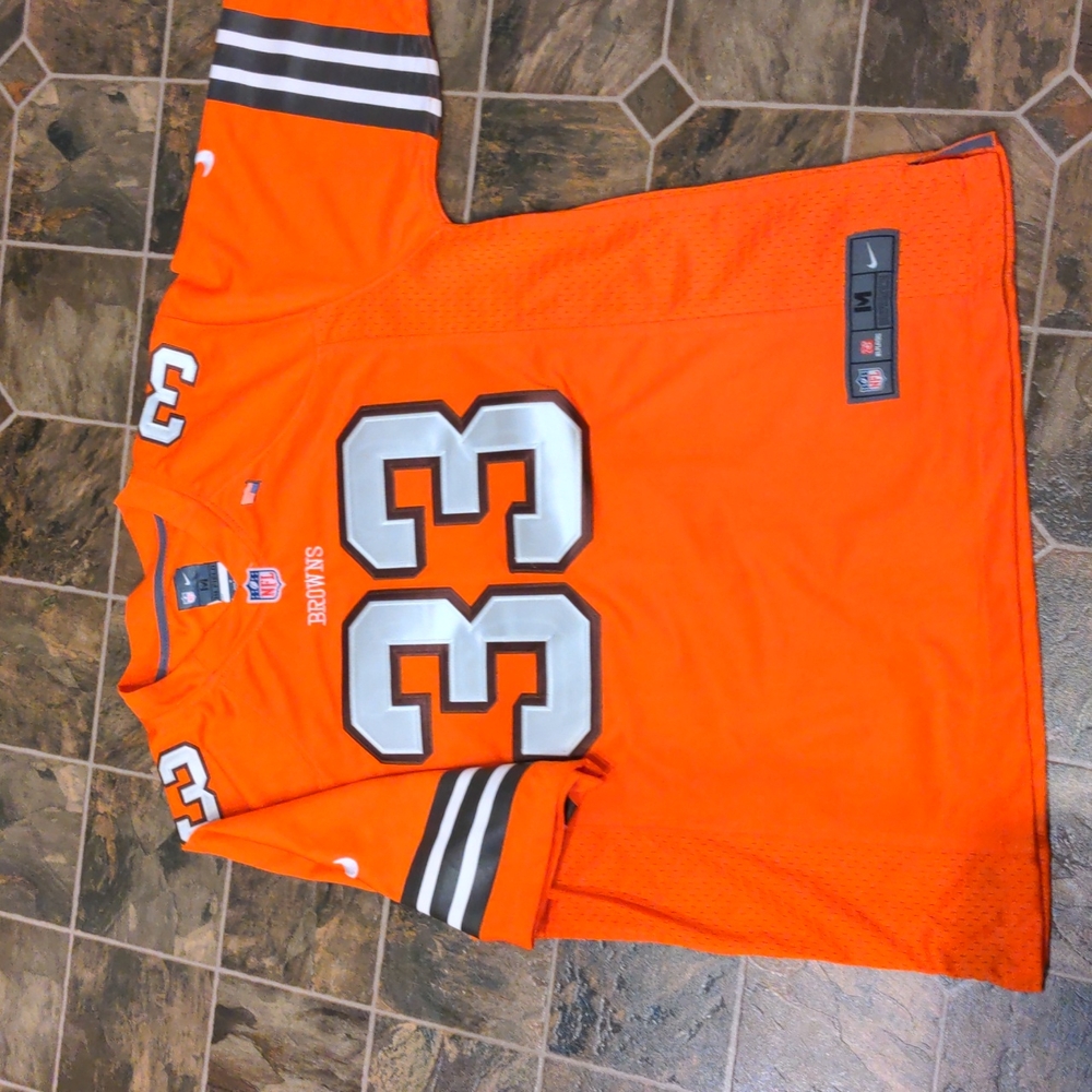 Cleveland browns number 33 Richardson Jersey
